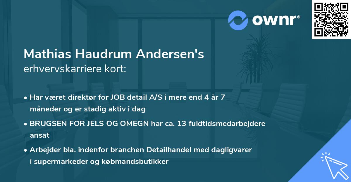 Mathias Haudrum Andersen's erhvervskarriere kort