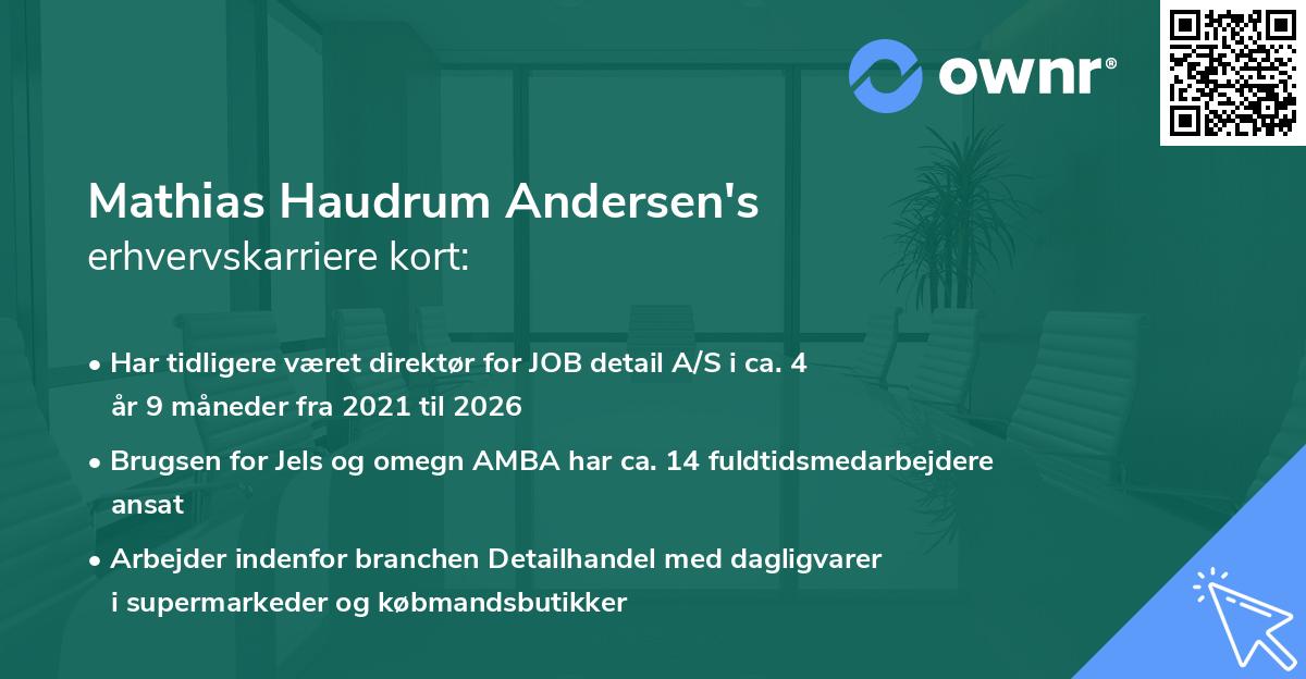 Mathias Haudrum Andersen's erhvervskarriere kort