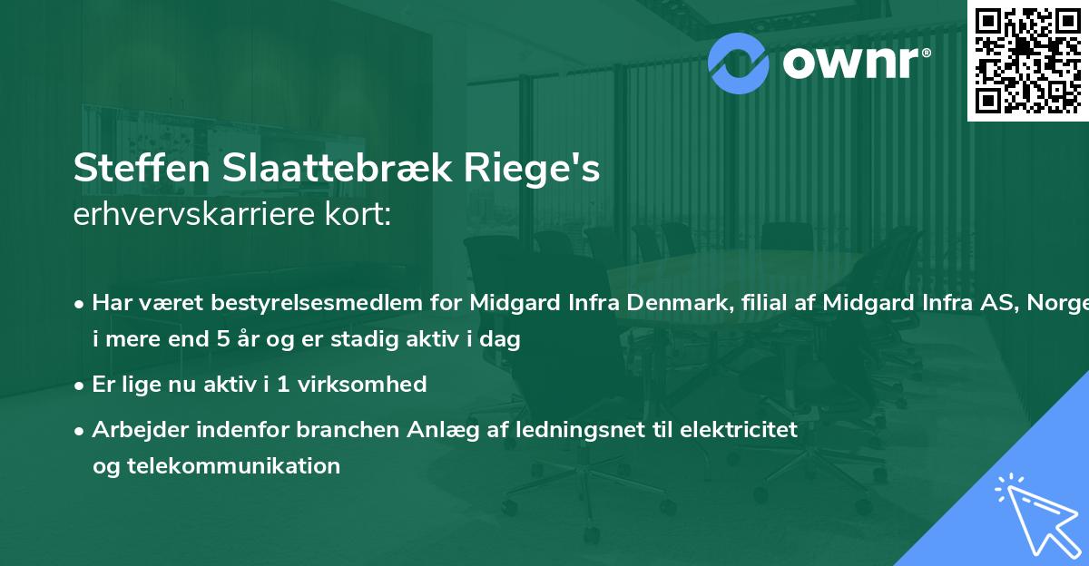 Steffen Slaattebræk Riege's erhvervskarriere kort