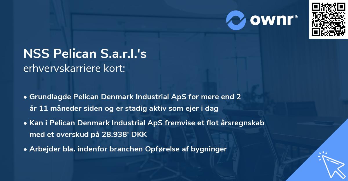 NSS Pelican S.a.r.l.'s erhvervskarriere kort