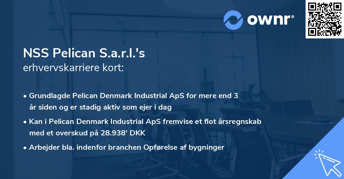 NSS Pelican S.a.r.l.'s erhvervskarriere kort