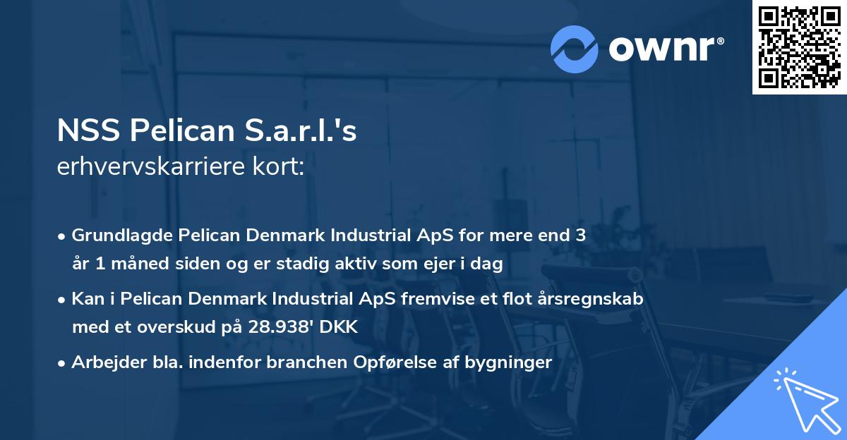 NSS Pelican S.a.r.l.'s erhvervskarriere kort