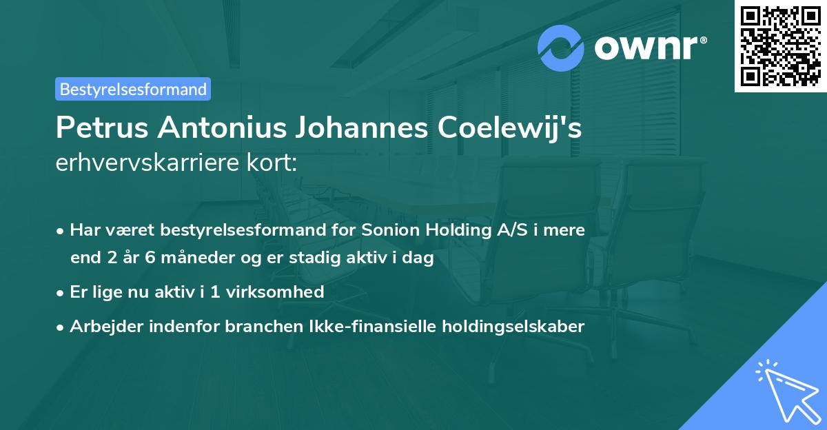 Petrus Antonius Johannes Coelewij's erhvervskarriere kort