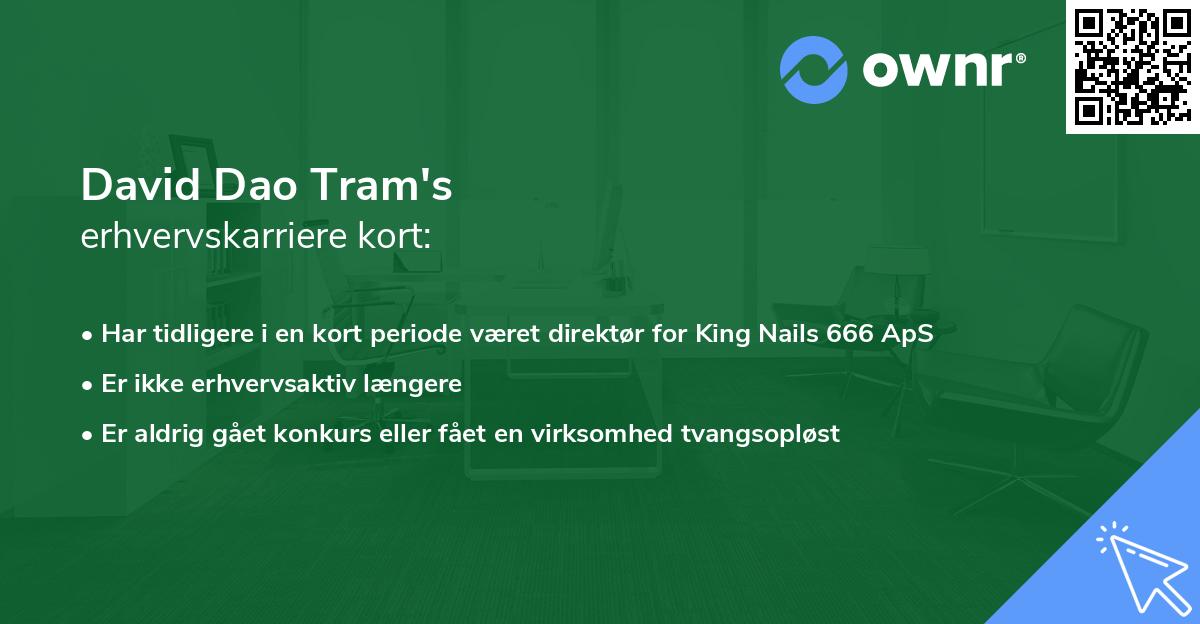 David Dao Tram's erhvervskarriere kort