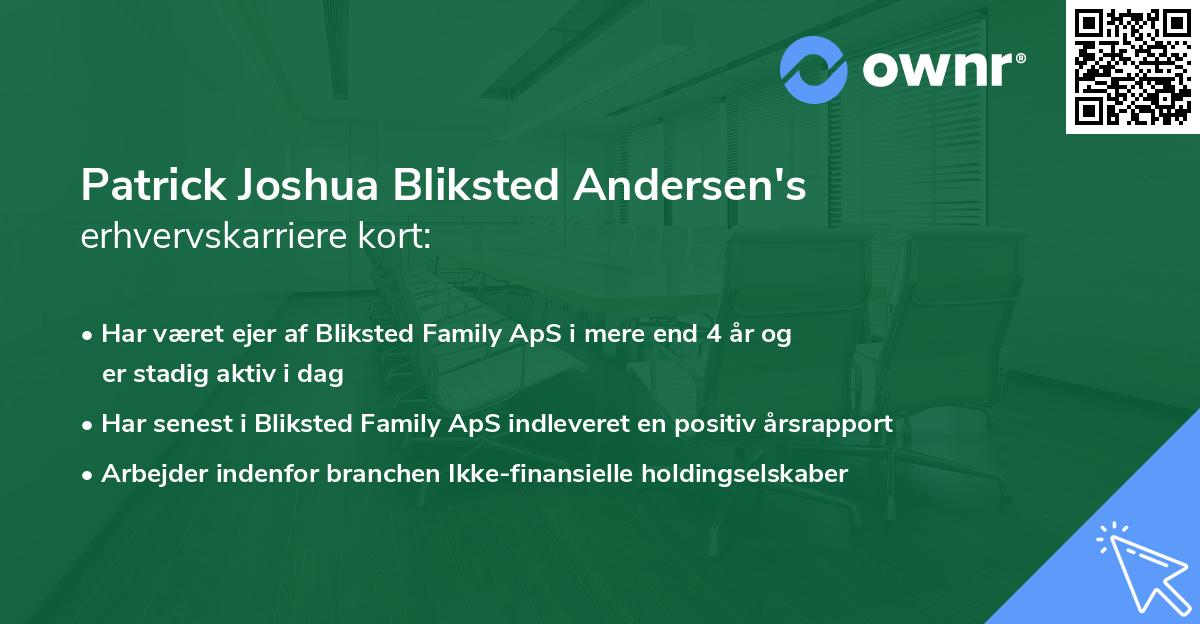 Patrick Joshua Bliksted Andersen's erhvervskarriere kort