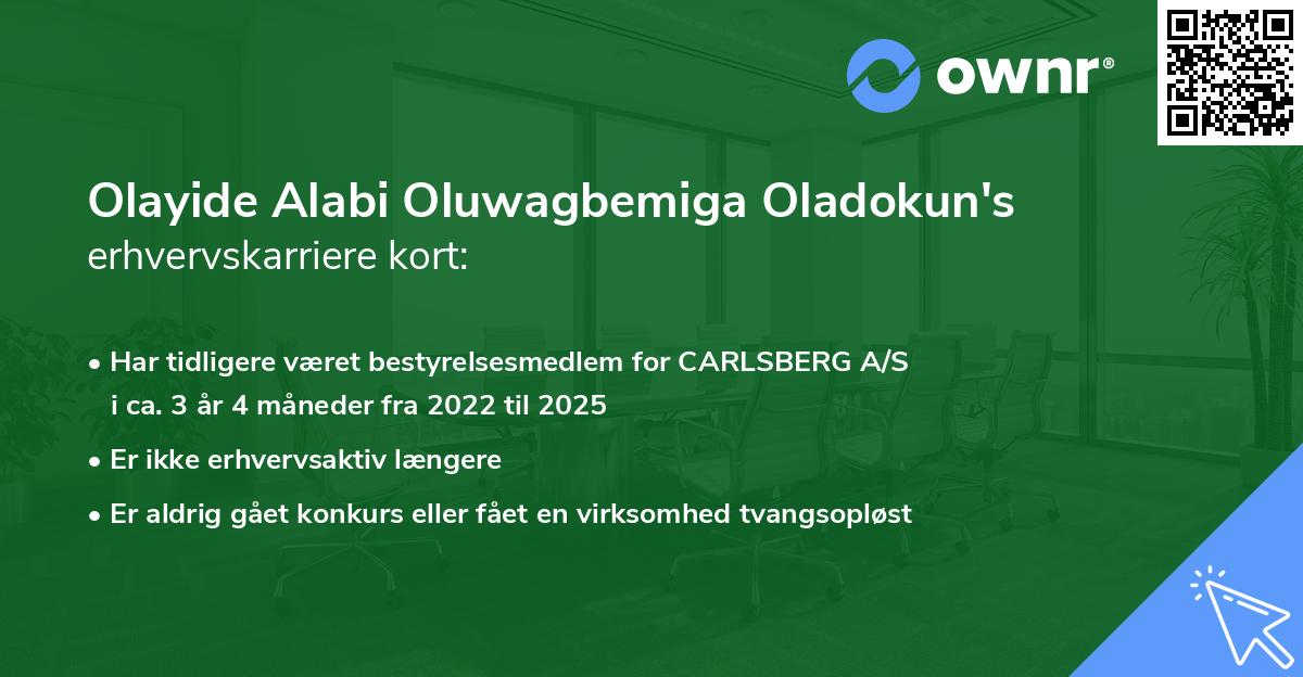 Olayide Alabi Oluwagbemiga Oladokun's erhvervskarriere kort