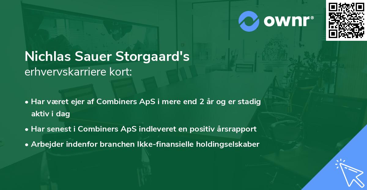Nichlas Sauer Storgaard's erhvervskarriere kort