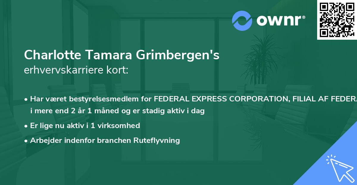 Charlotte Tamara Grimbergen's erhvervskarriere kort