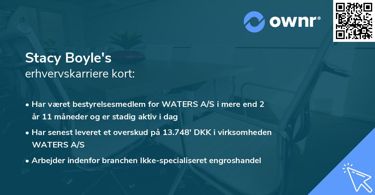 Stacy Boyle's erhvervskarriere kort