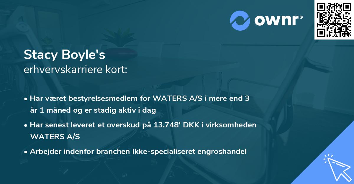 Stacy Boyle's erhvervskarriere kort