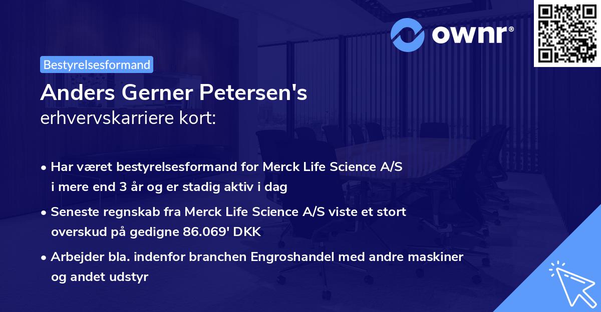 Anders Gerner Petersen's erhvervskarriere kort