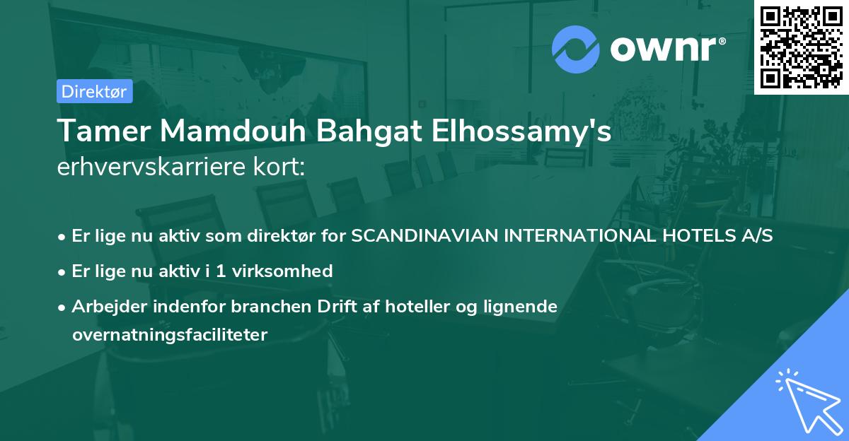Tamer Mamdouh Bahgat Elhossamy's erhvervskarriere kort