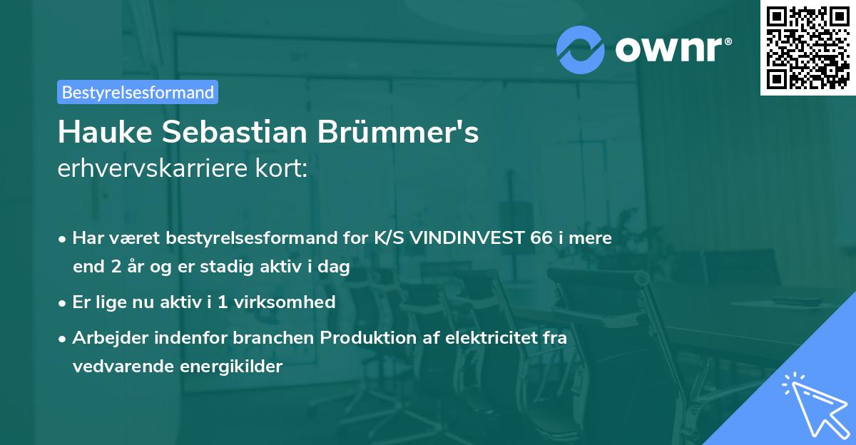 Hauke Sebastian Brümmer's erhvervskarriere kort