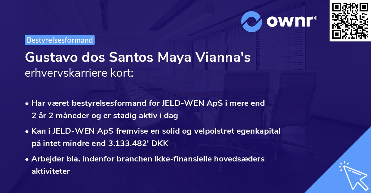 Gustavo dos Santos Maya Vianna's erhvervskarriere kort