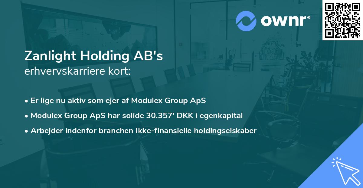 Zanlight Holding AB's erhvervskarriere kort