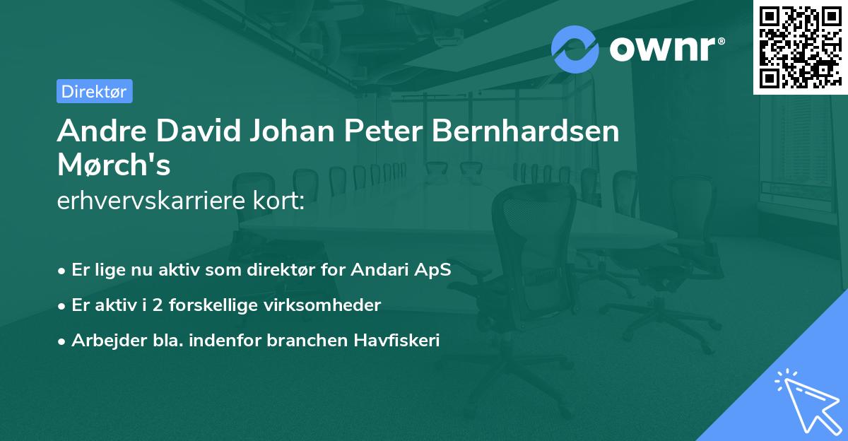 Andre David Johan Peter Bernhardsen Mørch's erhvervskarriere kort