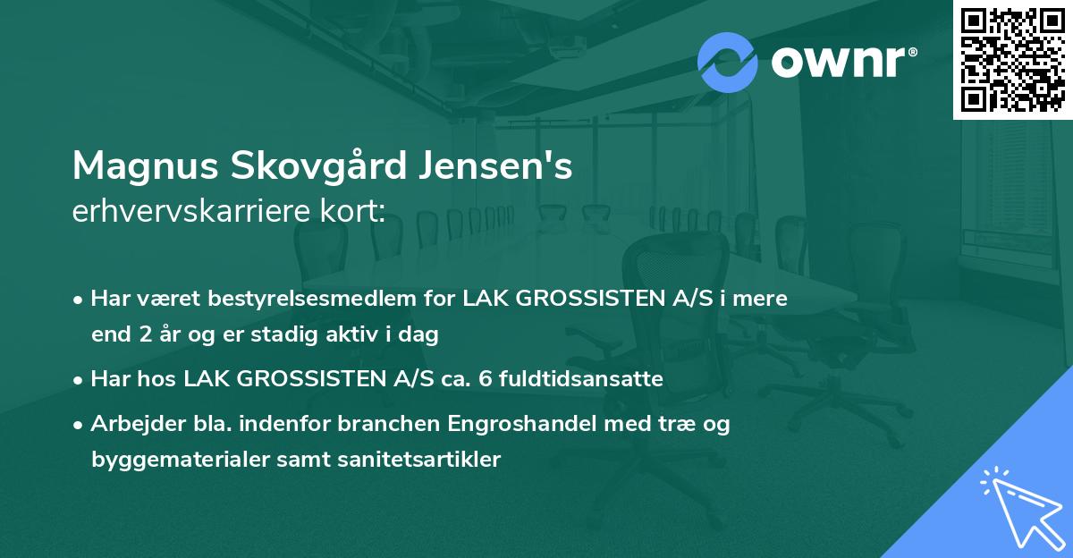 Magnus Skovgård Jensen's erhvervskarriere kort