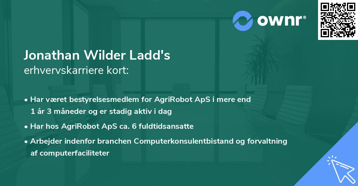 Jonathan Wilder Ladd's erhvervskarriere kort