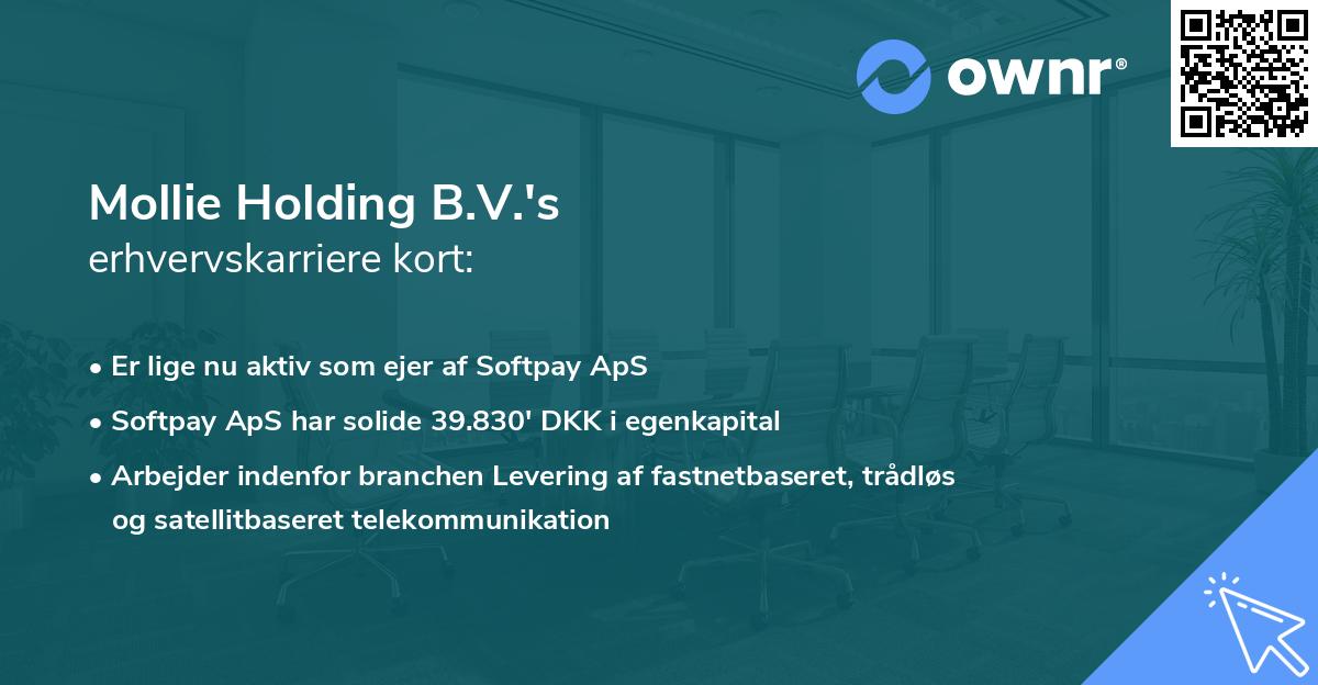Mollie Holding B.V.'s erhvervskarriere kort
