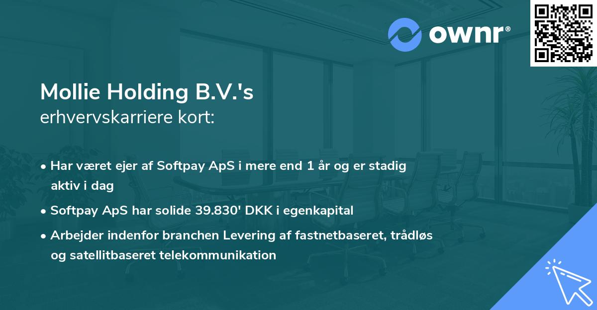 Mollie Holding B.V.'s erhvervskarriere kort