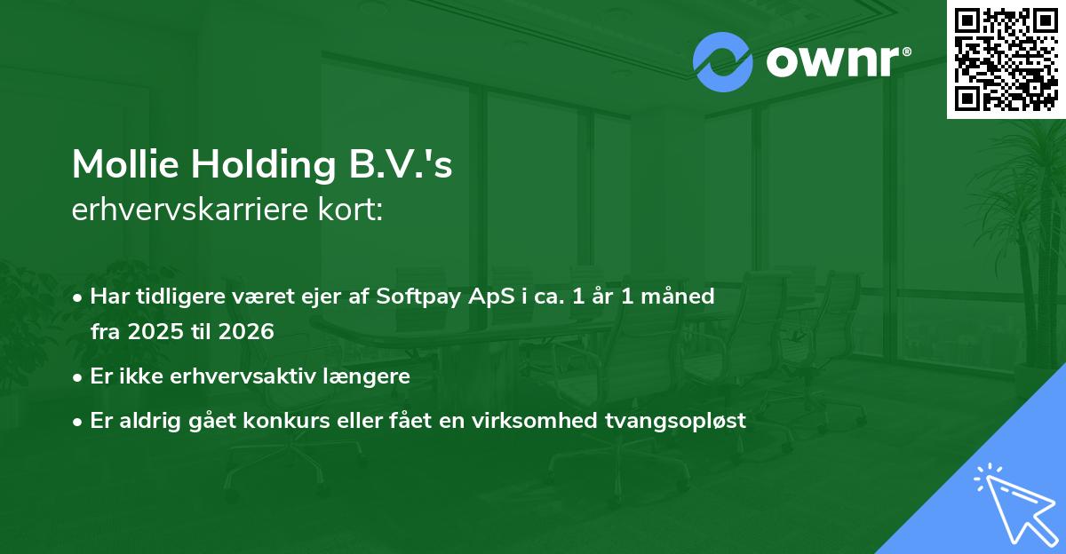 Mollie Holding B.V.'s erhvervskarriere kort