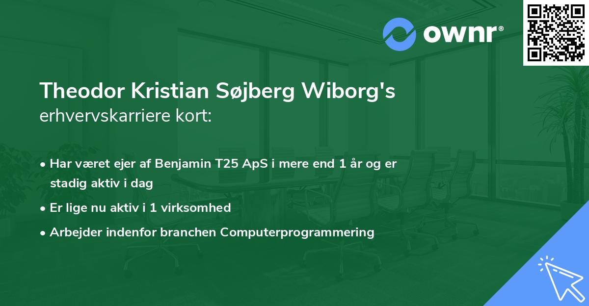 Theodor Kristian Søjberg Wiborg's erhvervskarriere kort