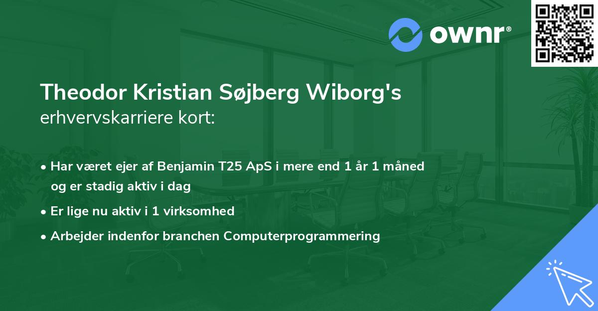 Theodor Kristian Søjberg Wiborg's erhvervskarriere kort