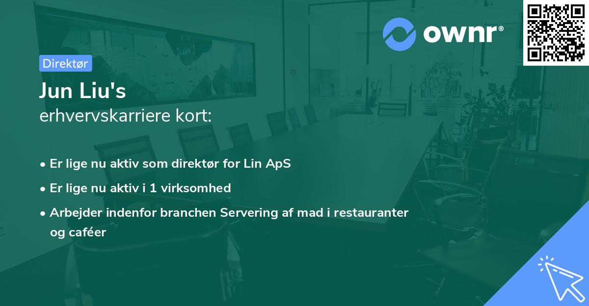 Jun Liu's erhvervskarriere kort