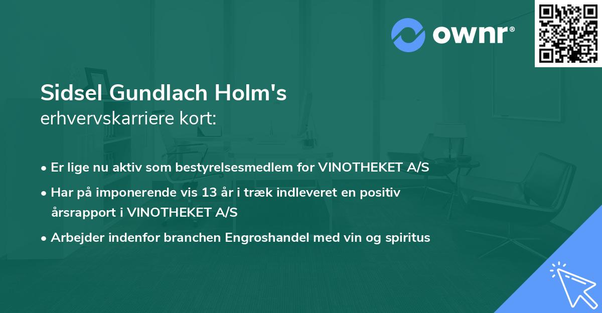 Sidsel Gundlach Holm's erhvervskarriere kort
