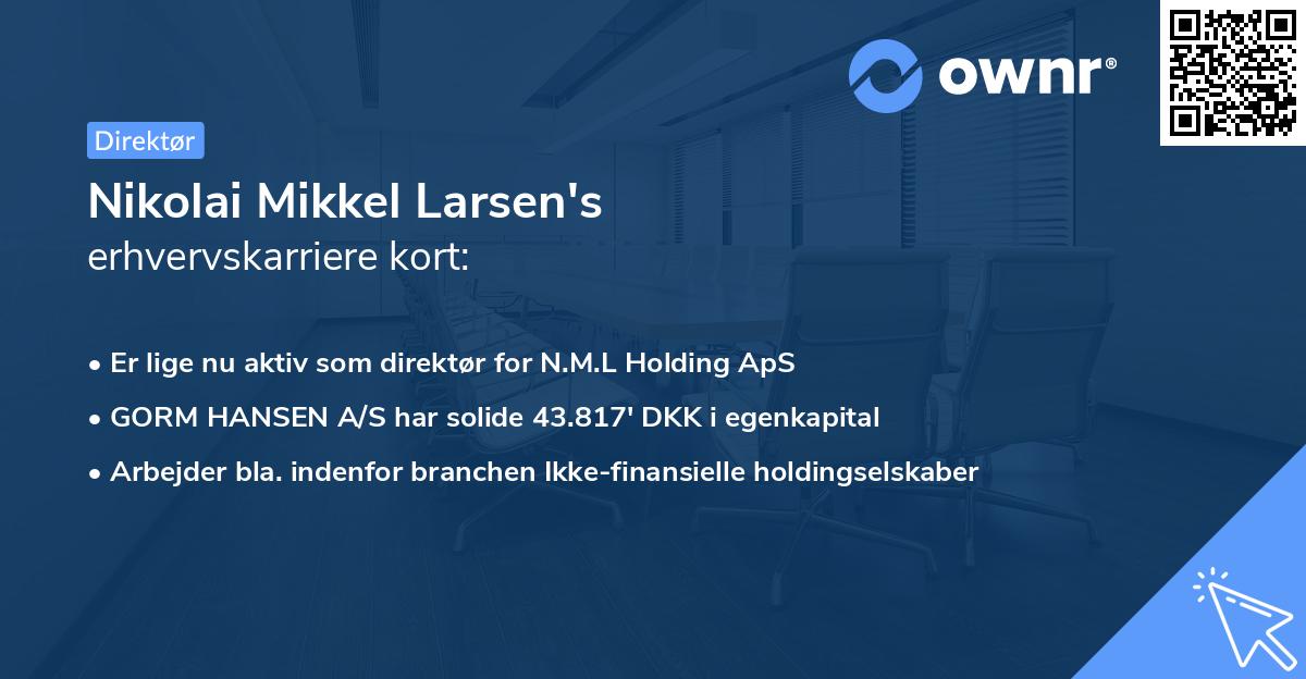 Nikolai Mikkel Larsen's erhvervskarriere kort