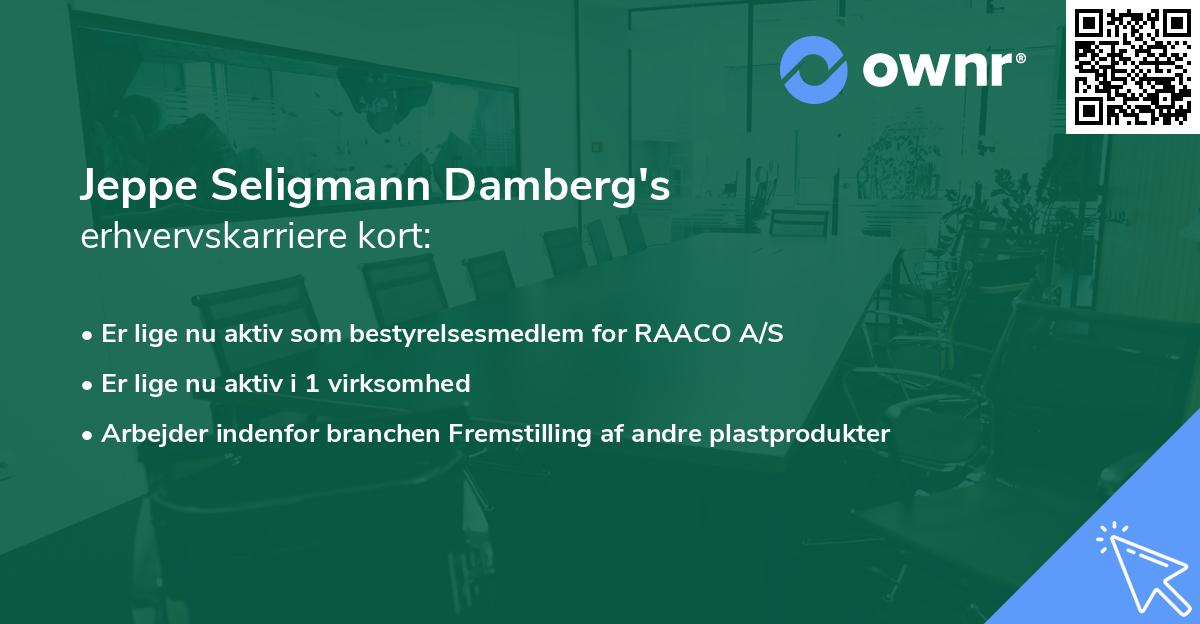 Jeppe Seligmann Damberg's erhvervskarriere kort