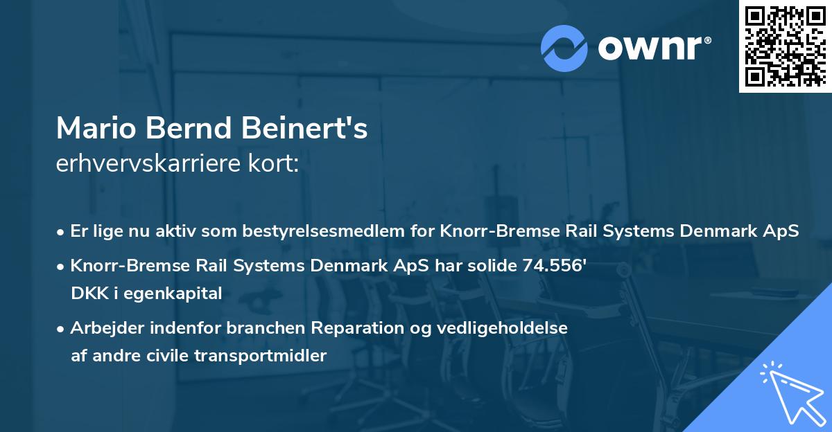 Mario Bernd Beinert's erhvervskarriere kort