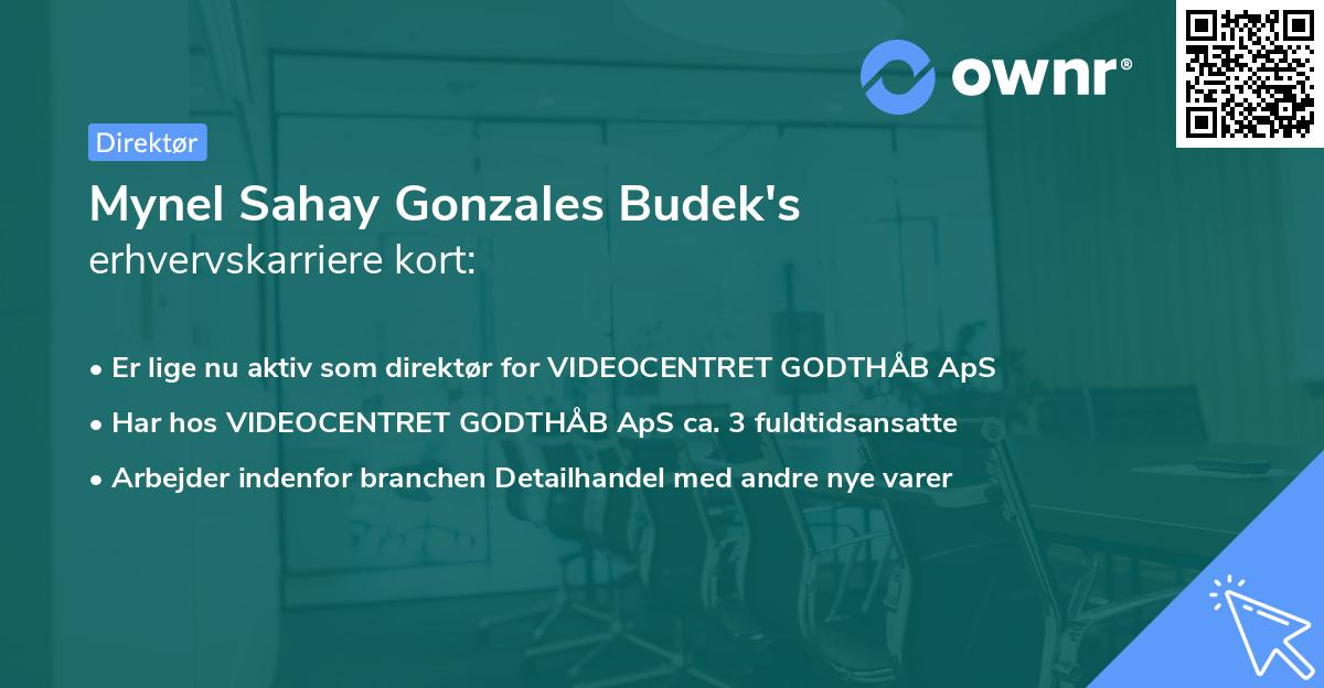 Mynel Sahay Gonzales Budek's erhvervskarriere kort