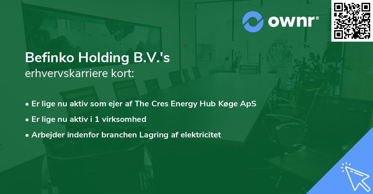 Befinko Holding B.V.'s erhvervskarriere kort