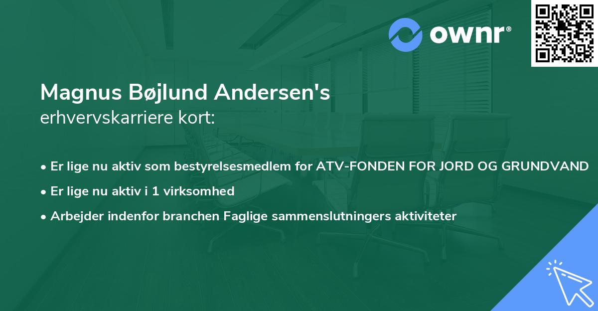 Magnus Bøjlund Andersen's erhvervskarriere kort