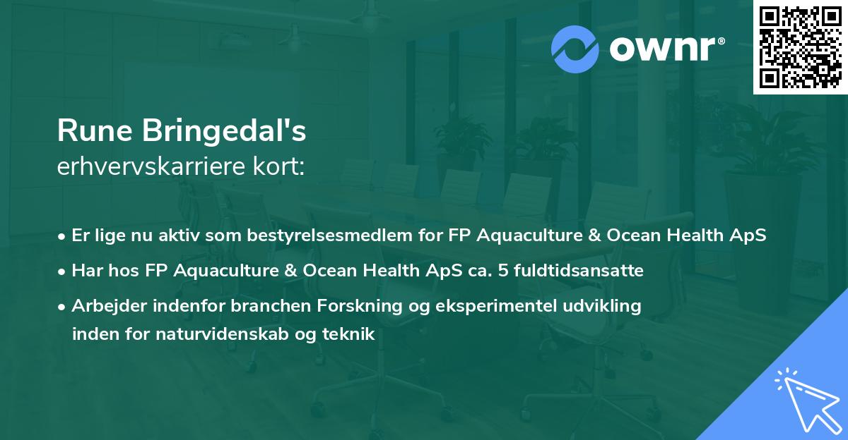 Rune Bringedal's erhvervskarriere kort