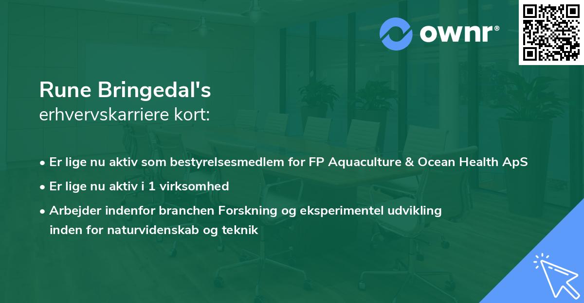 Rune Bringedal's erhvervskarriere kort