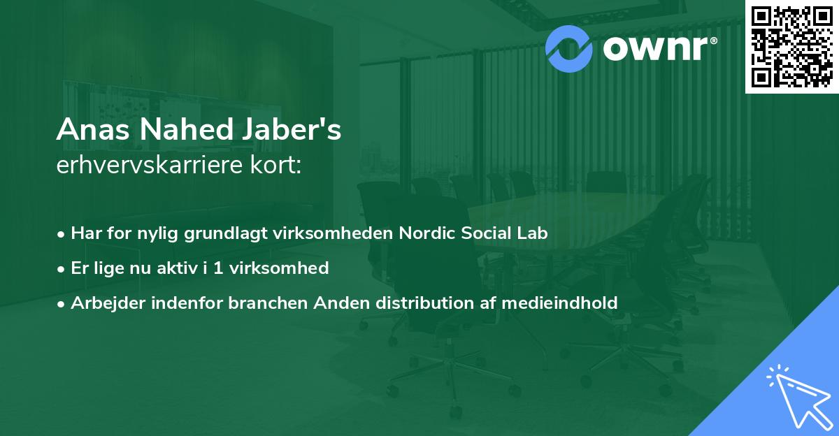 Anas Nahed Jaber's erhvervskarriere kort