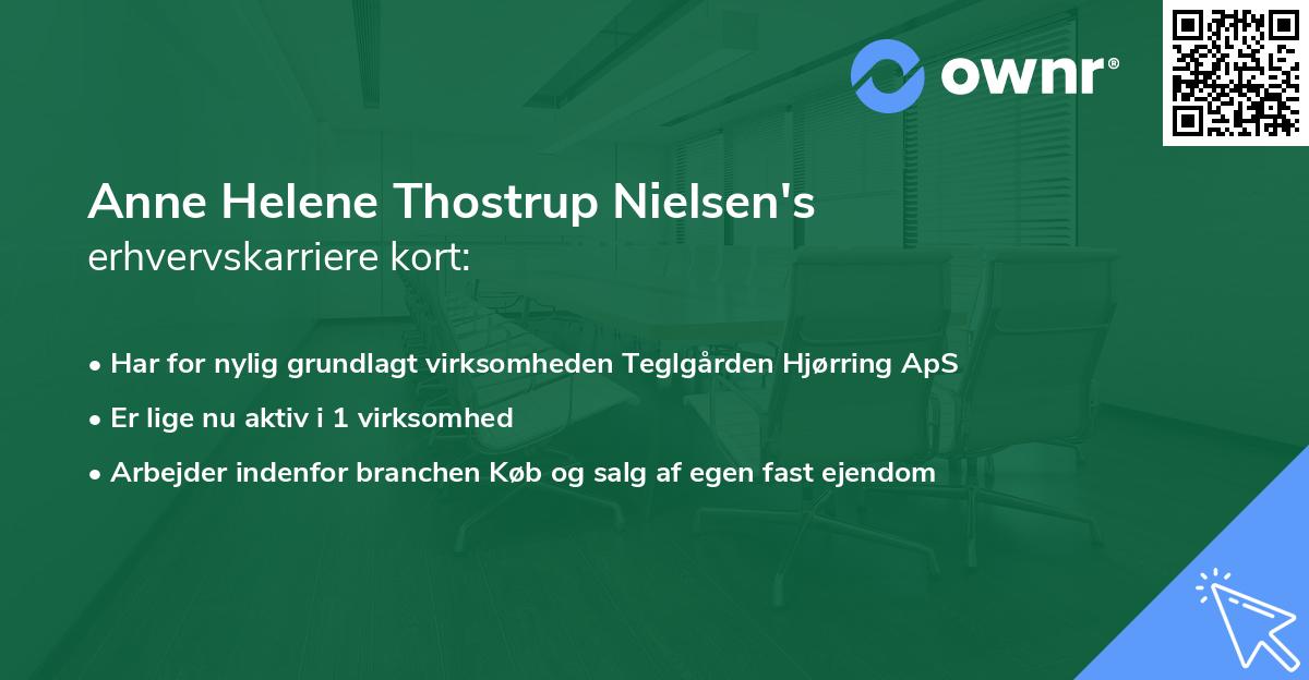 Anne Helene Thostrup Nielsen's erhvervskarriere kort