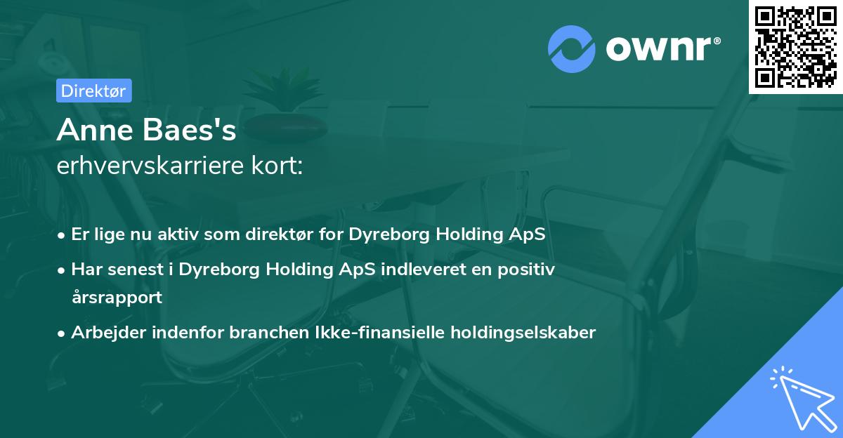 Anne Baes's erhvervskarriere kort