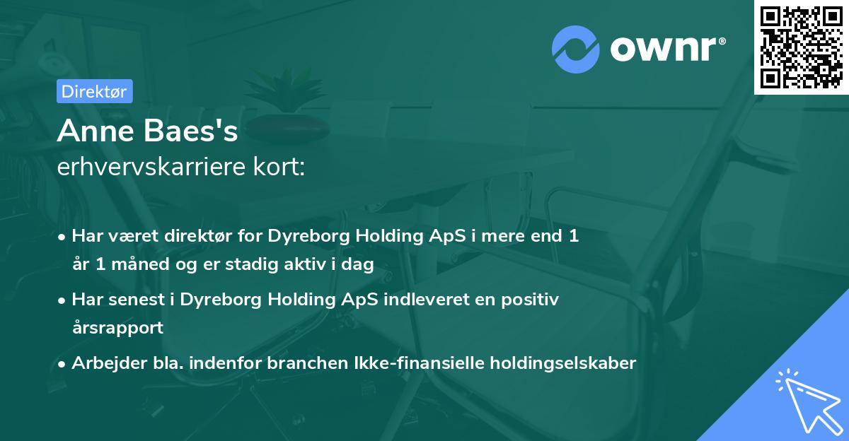 Anne Baes's erhvervskarriere kort