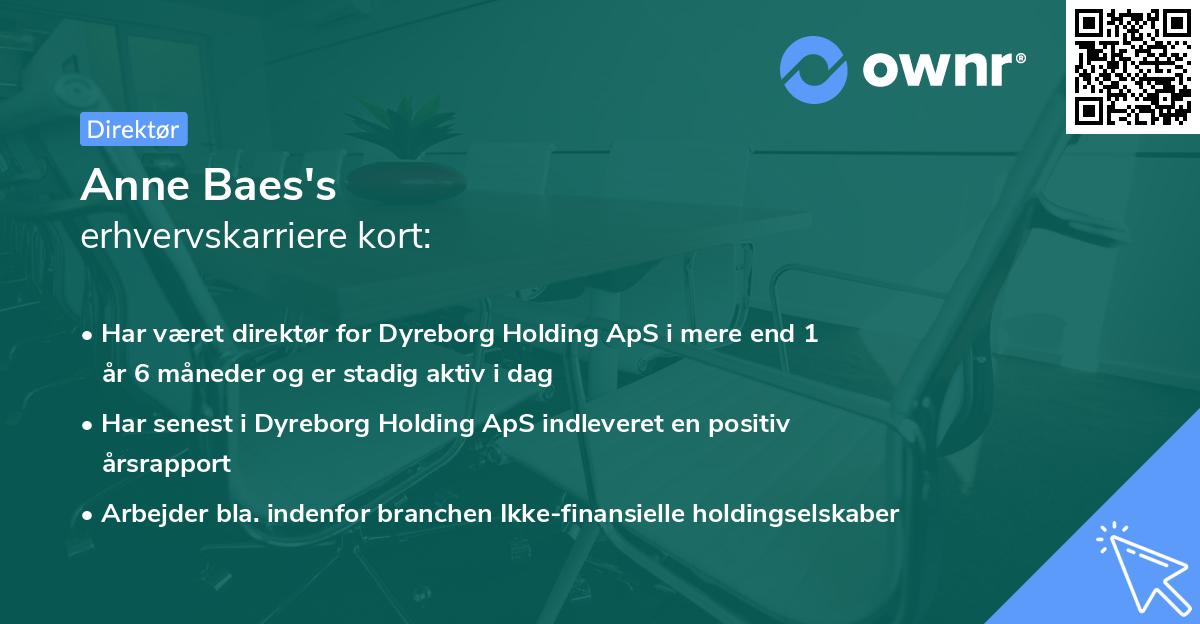 Anne Baes's erhvervskarriere kort