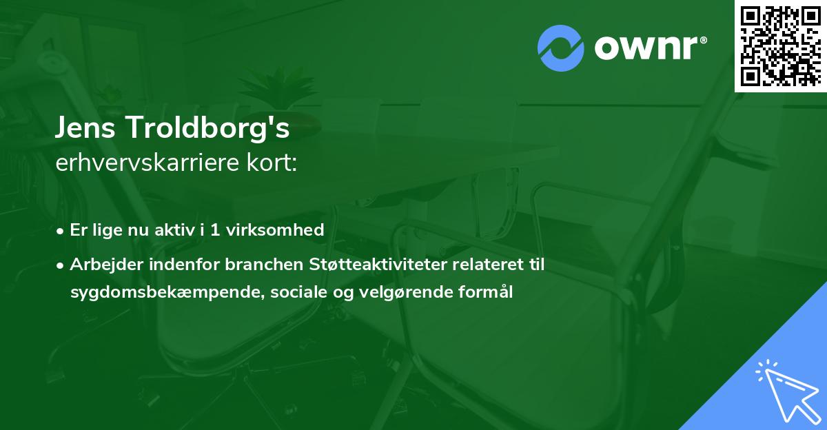 Jens Troldborg's erhvervskarriere kort