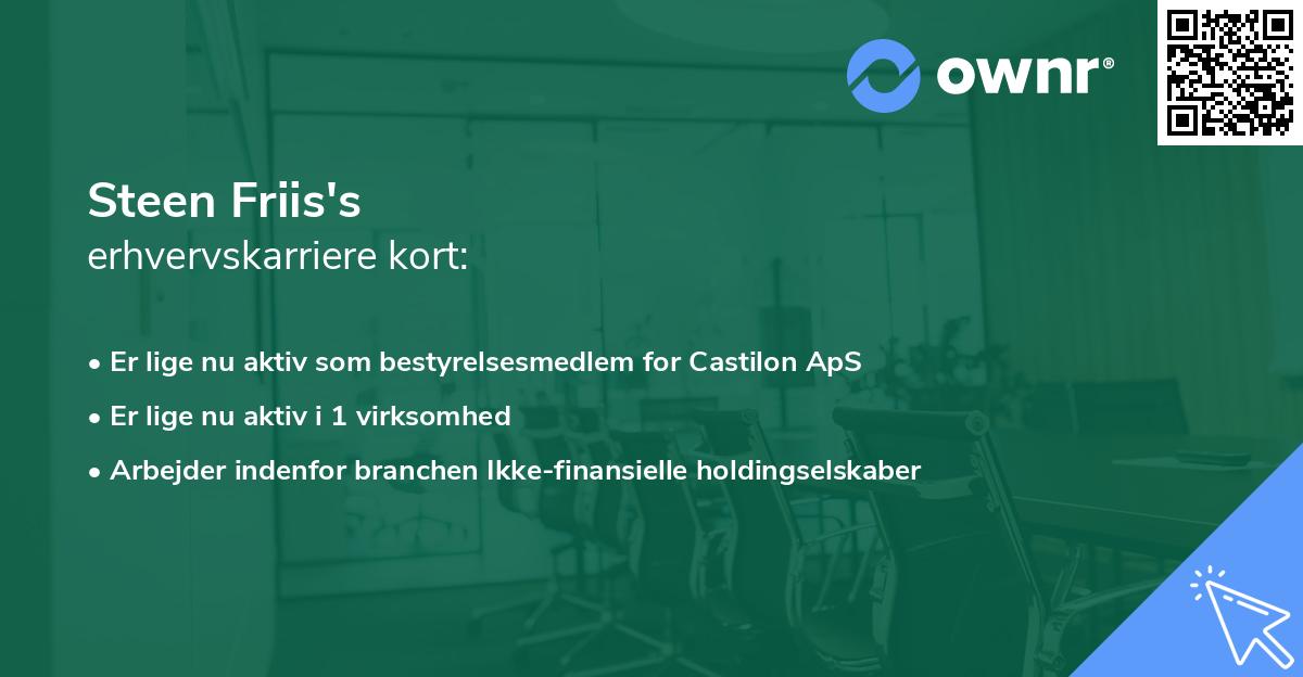 Steen Friis's erhvervskarriere kort