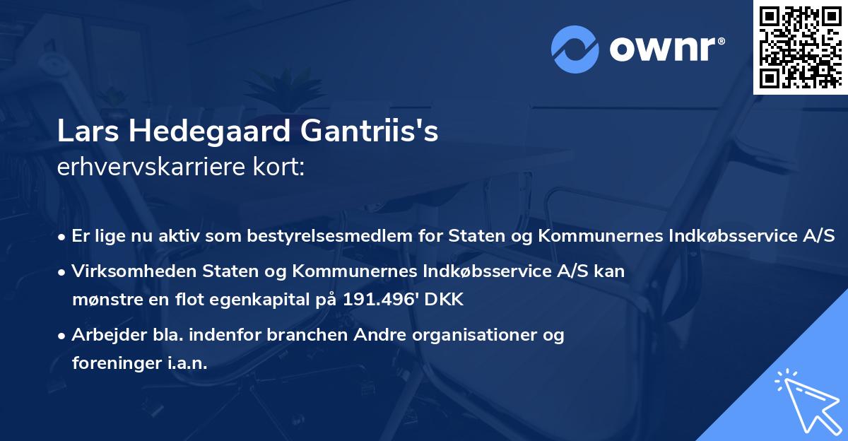 Lars Hedegaard Gantriis's erhvervskarriere kort