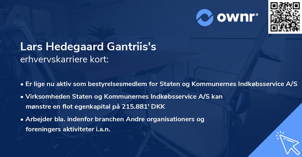 Lars Hedegaard Gantriis's erhvervskarriere kort