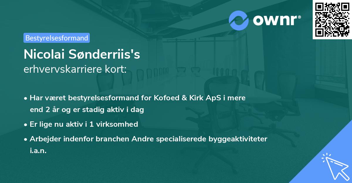 Nicolai Sønderriis's erhvervskarriere kort