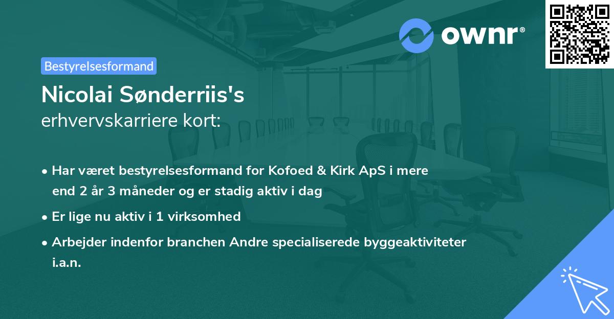 Nicolai Sønderriis's erhvervskarriere kort