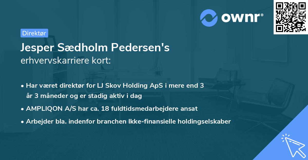 Jesper Sædholm Pedersen's erhvervskarriere kort