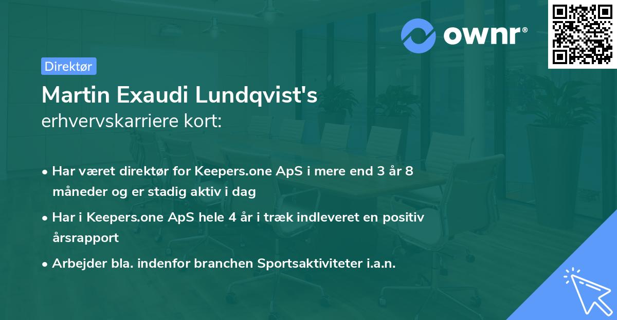 Martin Exaudi Lundqvist's erhvervskarriere kort